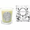 Qualitas Orange Tree 6.5oz Beeswax Candle Home Candles & Home Fragrance