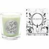 Qualitas Sweet Pea 6.5oz Beeswax Candle Home Candles & Home Fragrance