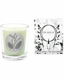 Qualitas Mimosa Tree 6.5oz Candle Home Candles & Home Fragrance