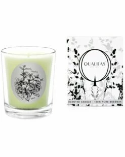 Qualitas Garden Mint 6.5oz Candle Home Candles & Home Fragrance