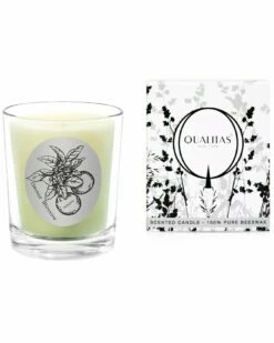 Qualitas Orange Blossom 6.5oz Beeswax Candle Home Candles & Home Fragrance