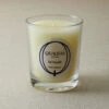 Qualitas Fir Needle 6.5oz Candle Home Candles & Home Fragrance
