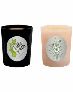 Qualitas Candles Set Of 2 Black Currant & Paperwhite Candles Home Candles & Home Fragrance