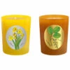 Qualitas Candles Set Of 2 Daffodil & Sandalwood Candles Home Candles & Home Fragrance