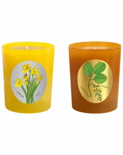 Qualitas Candles Set Of 2 Daffodil & Sandalwood Candles Home Candles & Home Fragrance