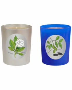 Qualitas Candles Set Of 2 Gardenia & Tonka Bean Candles Home Candles & Home Fragrance