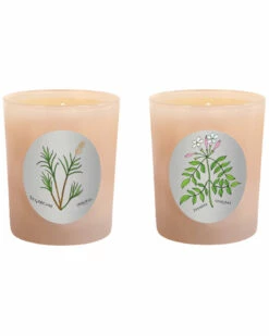 Qualitas Candles Set Of 2 Sugarcane & Jasmine Candles Home Candles & Home Fragrance