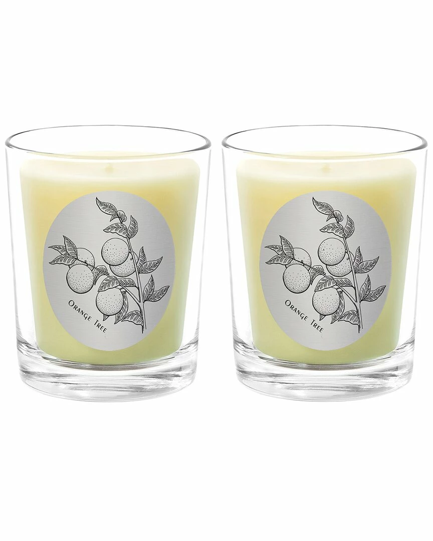 Qualitas Orange Tree Two Scented Beeswax Candle Set Home Candles & Home Fragrance