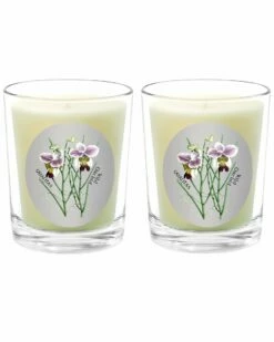 Qualitas Wild Orchid Two Scented Beeswax Candle Set Home Candles & Home Fragrance