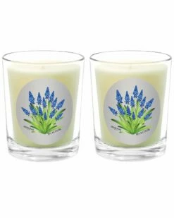 Qualitas Hyacinth Two Scented Beeswax Candle Set Home Candles & Home Fragrance