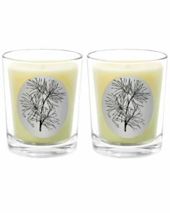 Qualitas Fir Needle Two Scented Beeswax Candle Set Home Candles & Home Fragrance