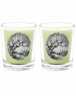 Qualitas Amber Two Scented Beeswax Candle Set Home Candles & Home Fragrance