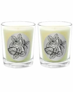 Qualitas Basil Two Scented Beeswax Candle Set Home Candles & Home Fragrance