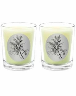 Qualitas Oak Tree Two Scented Beeswax Candle Set Home Candles & Home Fragrance