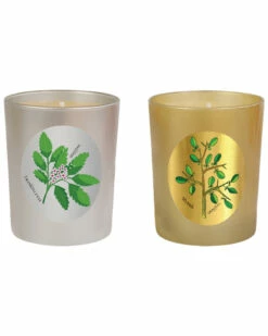 Qualitas Candles Set Of 2 Frankincense & Myrrh Candles Home Candles & Home Fragrance