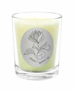 Qualitas Radiant Lilyscented Beeswax Candle Home Candles & Home Fragrance