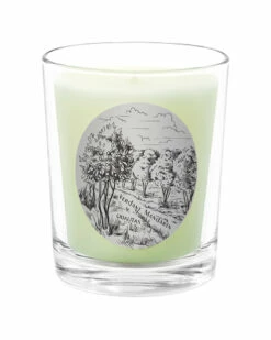 Qualitas Verdant Mandarin Scented Beeswax Candle Home Candles & Home Fragrance