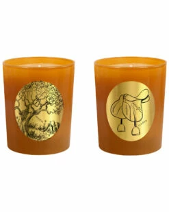 Qualitas Candles Set Of 2 Amber & Leather Candles Home Candles & Home Fragrance