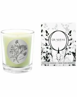Qualitas Coriander 6.5oz Beeswax Candle Home Candles & Home Fragrance