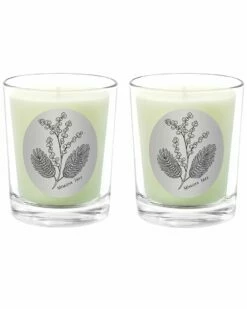 Qualitas Mimosa Tree Two Scented Beeswax Candle Set Home Candles & Home Fragrance