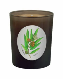 Qualitas Eucalyptus 6.5oz Beeswax Candle Home Candles & Home Fragrance