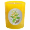 Qualitas Vanilla 6.5oz Beeswax Candle Home Candles & Home Fragrance