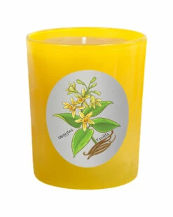 Qualitas Vanilla 6.5oz Beeswax Candle Home Candles & Home Fragrance