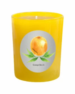 Qualitas Greapefruit 6.5oz Beeswax Candle Home Candles & Home Fragrance