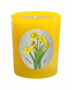 Qualitas Daffodil 6.5oz Beeswax Candle Home Candles & Home Fragrance