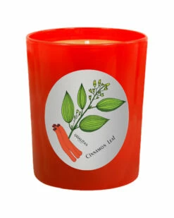 Qualitas Cinnamon Leaf 6.5oz Beeswax Candle Home Candles & Home Fragrance