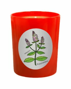Qualitas Peppermint 6.5oz Beeswax Candle Home Candles & Home Fragrance