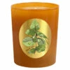 Qualitas Hazel Tree 6.5oz Beeswax Candle Home Candles & Home Fragrance