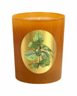 Qualitas Hazel Tree 6.5oz Beeswax Candle Home Candles & Home Fragrance