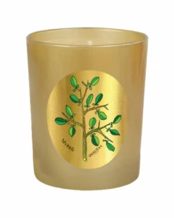 Qualitas Myrrh 6.5oz Beeswax Candle Home Candles & Home Fragrance