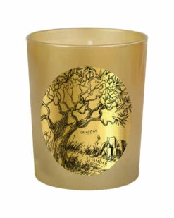 Qualitas Amber Beeswax Candle Home Candles & Home Fragrance
