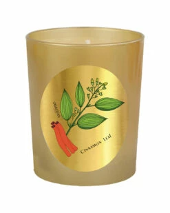 Qualitas Cinnamon Leaf 6.5oz Beeswax Candle Home Candles & Home Fragrance