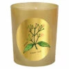 Qualitas Clove Leaf 6.5oz Beeswax Candle Home Candles & Home Fragrance