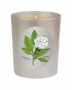Qualitas Gardenia 6.5oz Beeswax Candle Home Candles & Home Fragrance