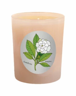 Qualitas Gardenia 6.5oz Beeswax Candle Home Candles & Home Fragrance