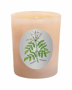 Qualitas Jasmine 6.5oz Beeswax Candle Home Candles & Home Fragrance