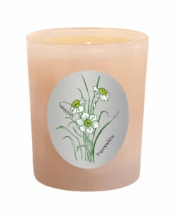 Qualitas Paperwhite 6.5oz Beeswax Candle Home Candles & Home Fragrance